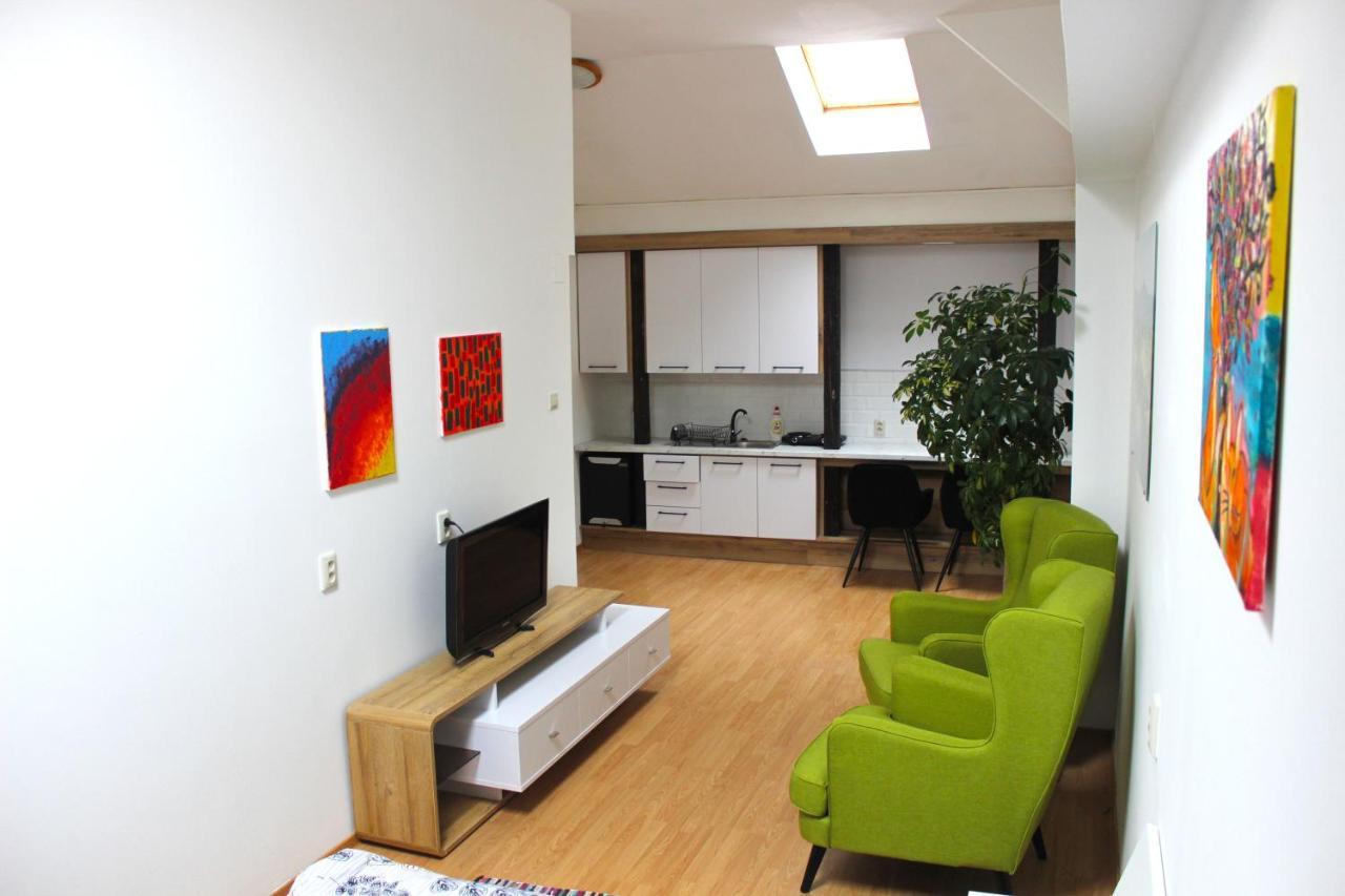Krásny priestranný slnečný apartmán v centre mesta Trenčín Exterior foto